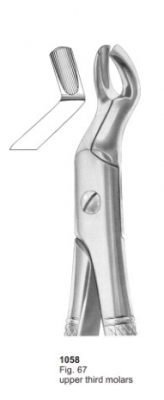  Fig. 67 upper third molars 
